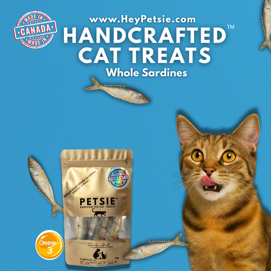From Cat Sitter to Cat Treat Maker: Introducing Petsie’s First Handcrafted Cat Treats