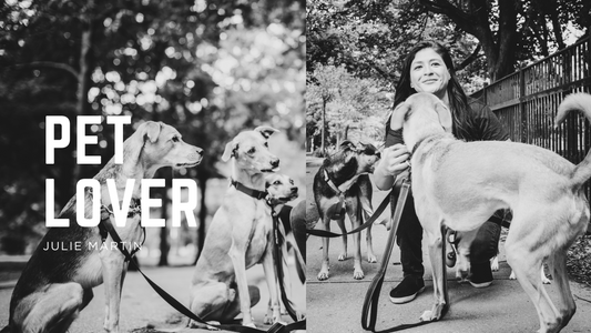 From Pet Care to Pet Products - Julie Martin, The Heart Behind HeyPetsie’s New Online Store.