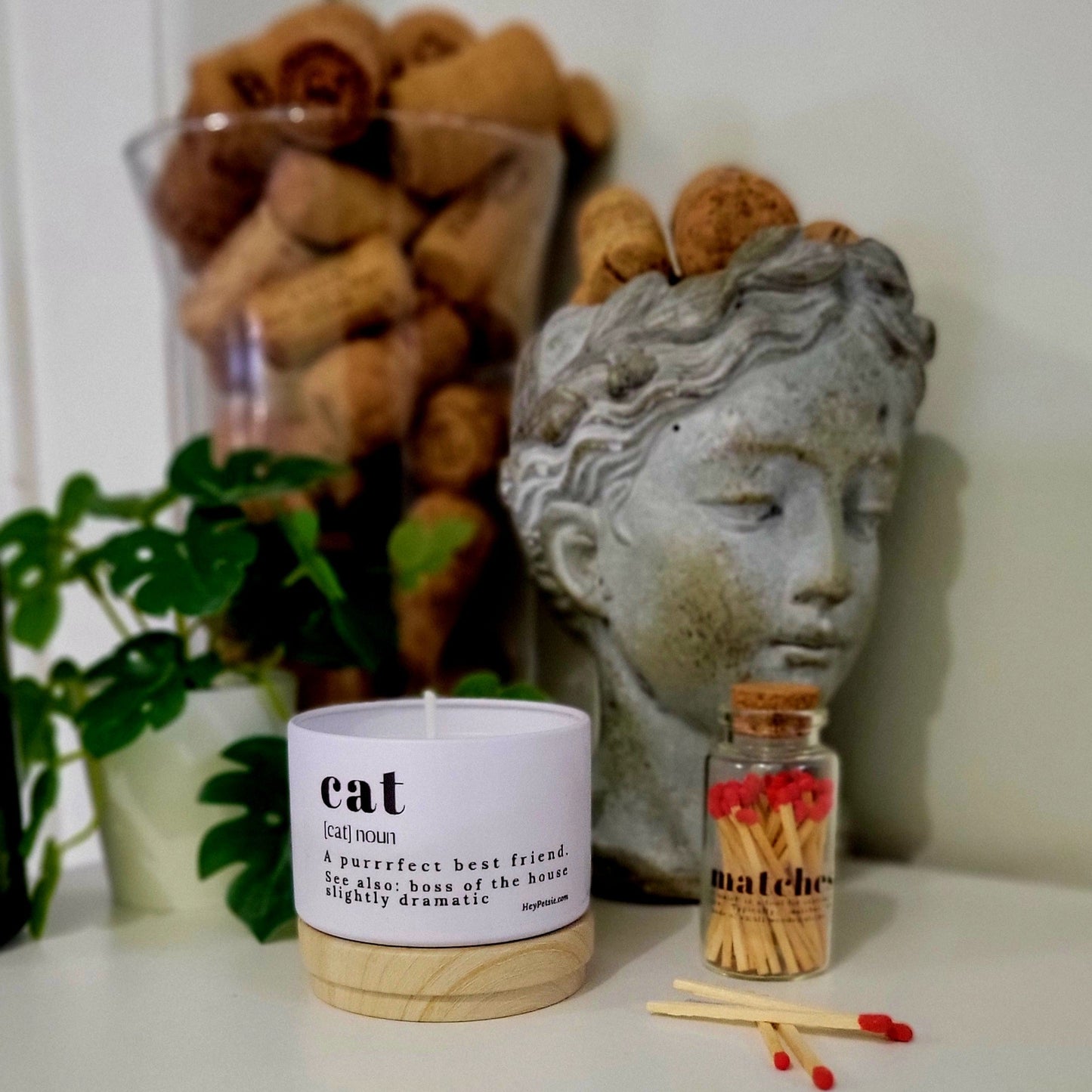 white candle with definition of cat