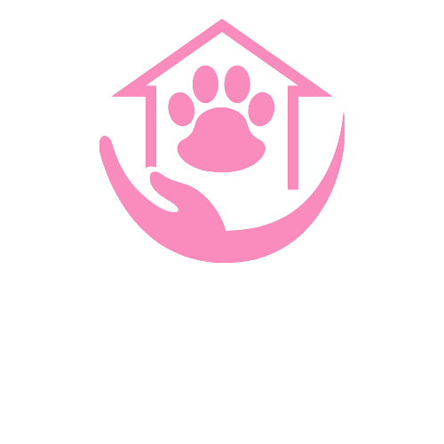 Hey Petsie Dog walking and Pet Sitting 