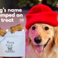 Christmas Personalized Gift Box for Dog Mom & Dog – Custom Treats, Socks, Candle Set, Dog Toy & Card