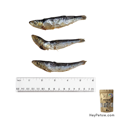 PETSIE® Handcrafted Cat Treats – Limited Batch Whole Sardines (30g)