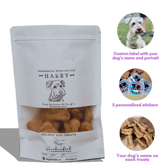 Custom dog treats with personalized name stamping