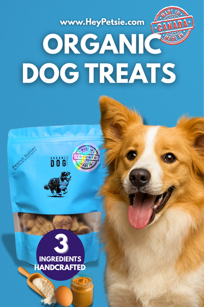 organic dog treats by hey petsie 
