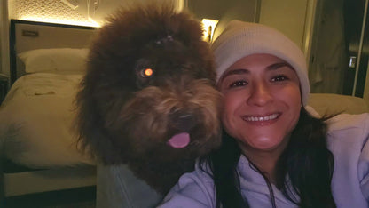 Last-minute dog boarding for pet friendly hotel Guests & Travelers