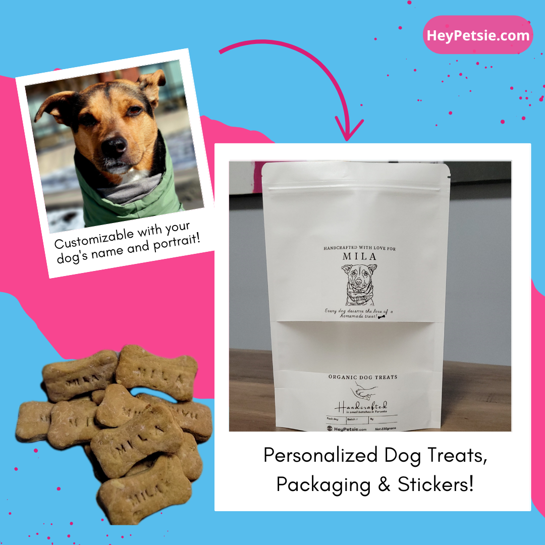 Gift-ready custom dog treats for birthdays and holidays